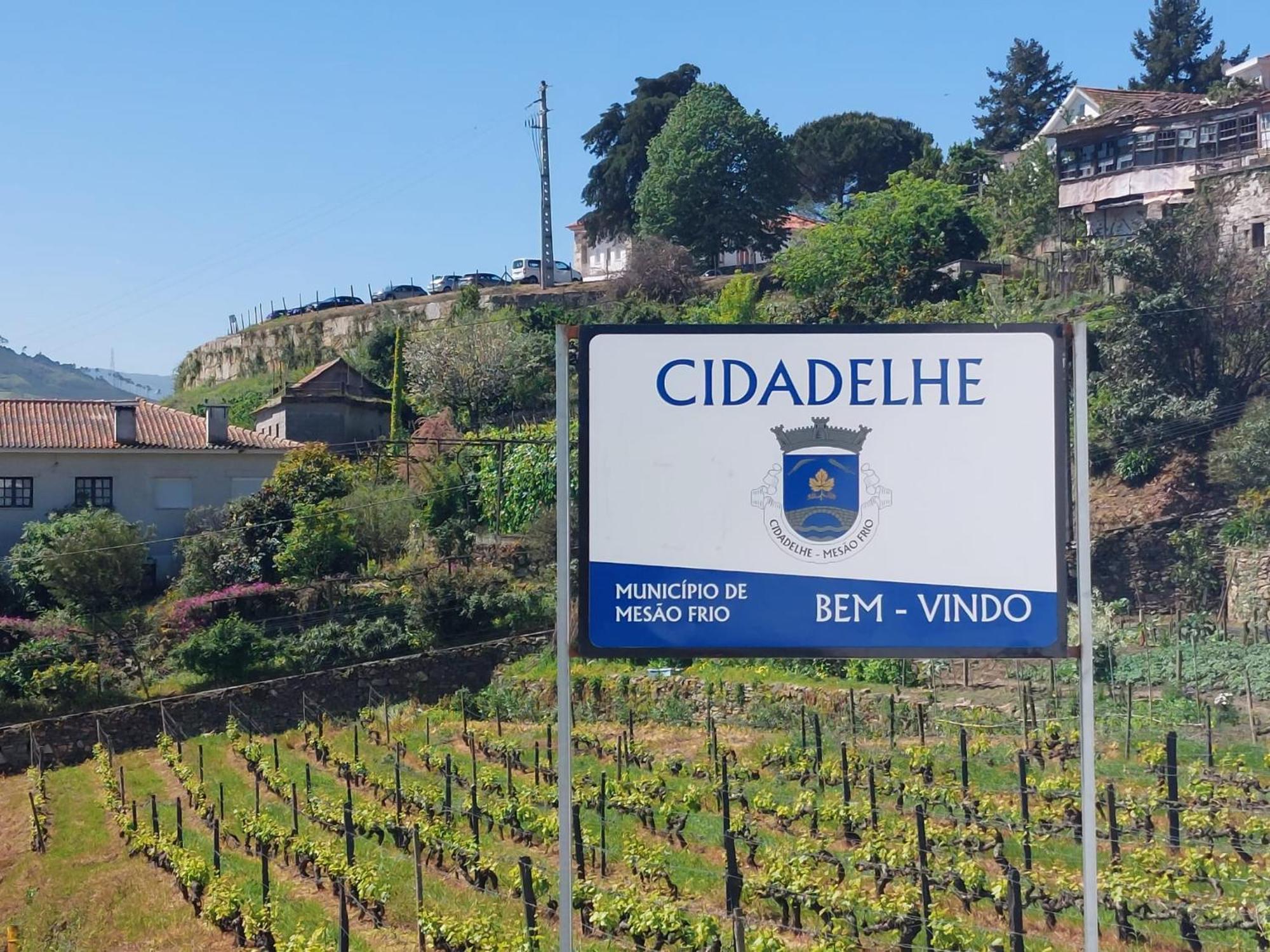 הוילה Cidadelhe  Casa Ceci Douro מראה חיצוני תמונה